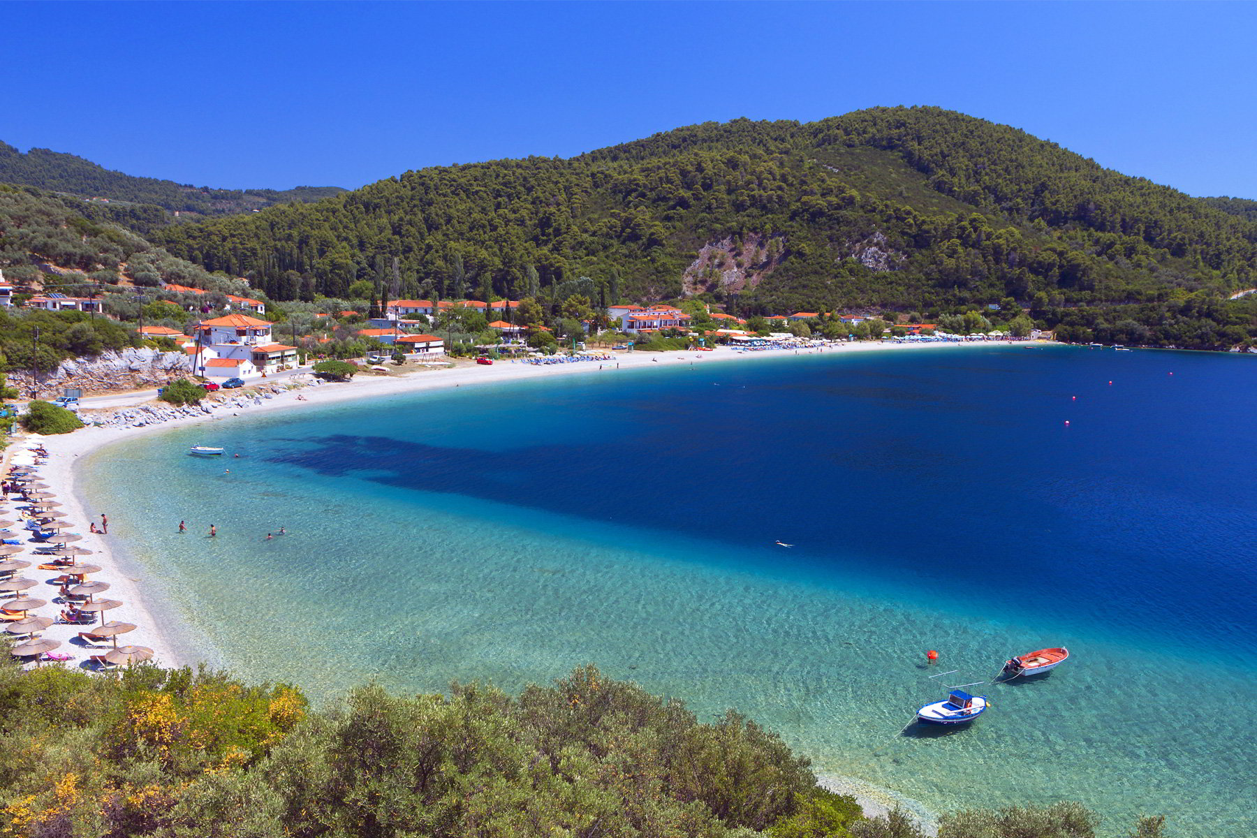 Super Reducere Early Booking Sejur Individual Grecia - Skopelos Hotel Dolphin 2* Iunie - August 5 nopti de la doar 179 Euro/persoana!